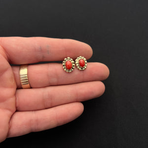 14k Gold Earrings w/ Red Sea Coral